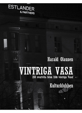 Vintriga Vasa - 2rtvita foton från vintriga Vas
