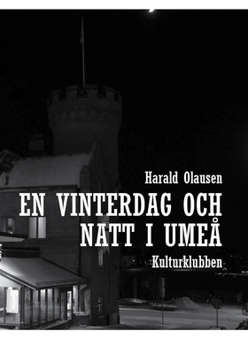 En vinterdag och  natt i umeå (e-bok) av Harald
