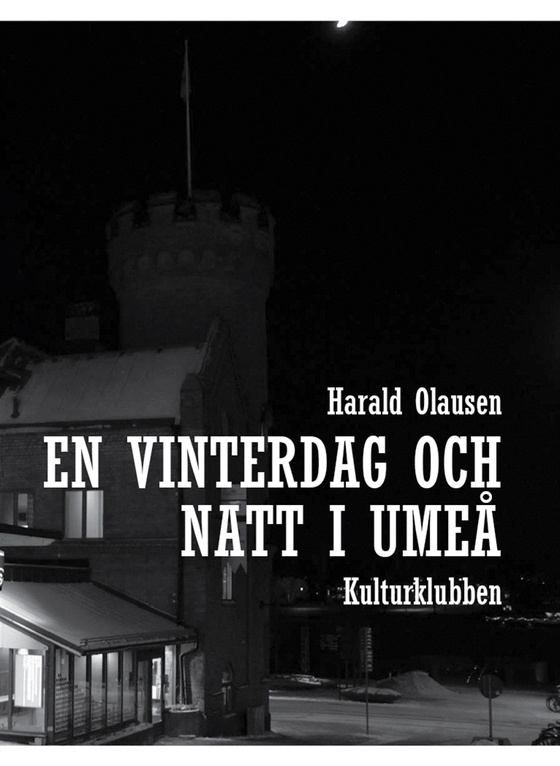 En vinterdag och  natt i umeå
