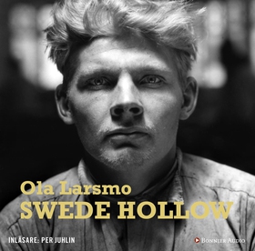 Swede Hollow (ljudbok) av Ola Larsmo