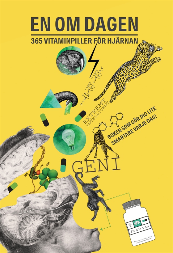 En om dagen : 365 vitaminpiller för hjärnan (PDF)
