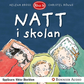 Natt i skolan (ljudbok) av Helena Bross