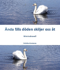 Ända tills döden skiljer oss åt – kriminalnovel