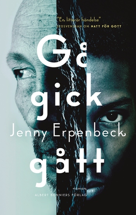 Gå, gick, gått (e-bok) av Jenny Erpenbeck