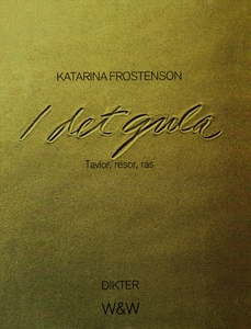 I det gula : Tavlor, resor, ras (e-bok) av Kata