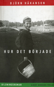 Hur det började : Bildningsroman (e-bok) av Bjö