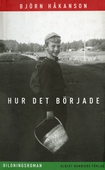 Hur det började : bildningsroman