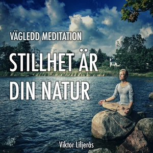 Stillhet är din natur (ljudbok) av Viktor Lilje