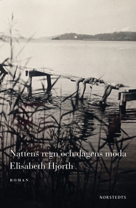 Nattens regn och dagens möda (e-bok) av Elisabe