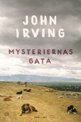Mysteriernas gata (e-bok) av John Irving