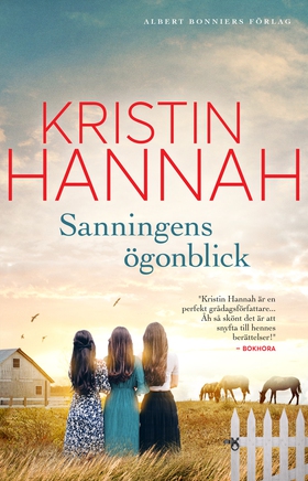 Sanningens ögonblick (e-bok) av Kristin Hannah