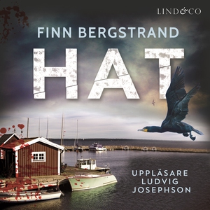 Hat (ljudbok) av Finn Bergstrand
