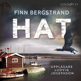 Hat (ljudbok) av Finn Bergstrand