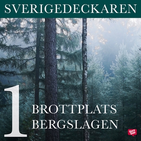 Brottsplats Bergslagen (ljudbok) av Stig O. Blo
