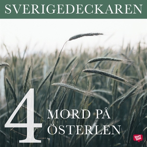 Mord på Österlen (ljudbok) av Stig O. Blomberg