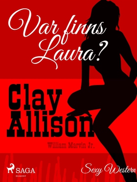 Var finns Laura? (e-bok) av Clay Allison, Willi