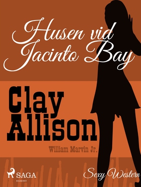 Husen vid Jacinto Bay (e-bok) av Clay Allison, 