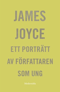 Ett porträtt av författaren som ung (e-bok) av