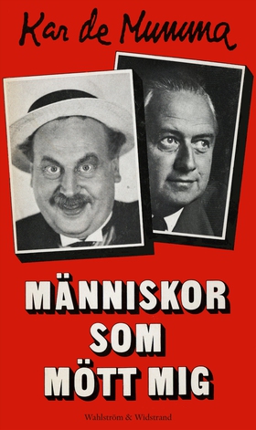 Människor som mött mig (e-bok) av Erik Zetterst