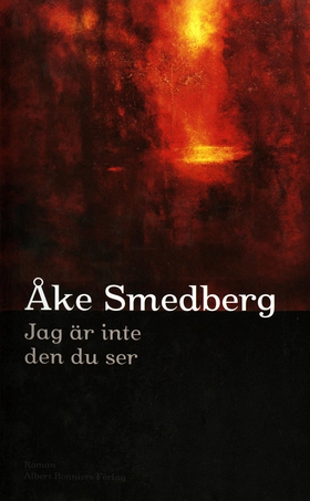 Jag är inte den du ser (e-bok) av Åke Smedberg