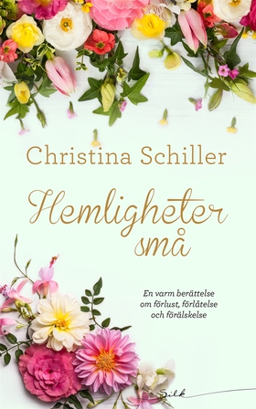 Hemligheter små (e-bok) av Christina Schiller