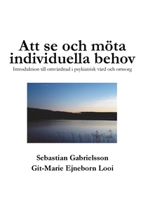 Att se och möta individuella behov: Introduktio