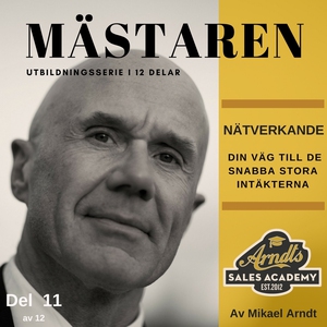 MÄSTAREN del 11 - NÄTVERKANDE - Din väg till de
