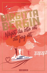 Något du inte vet att jag vet (e-bok) av Birgit