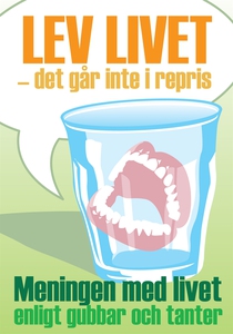 Lev livet - det går inte i repris (e-bok) av Ca