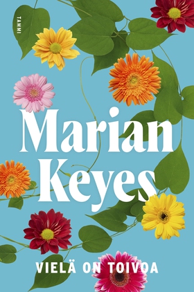 Vielä on toivoa (e-bok) av Marian Keyes