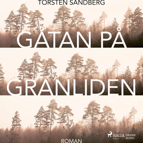 Gåtan på Granliden