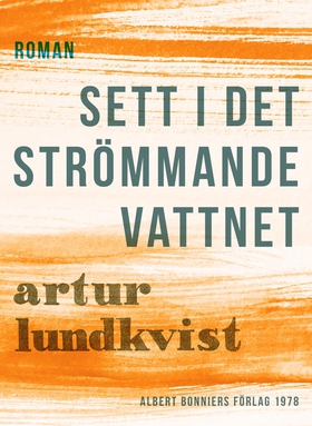 Sett i det strömmande vattnet (e-bok) av Artur 