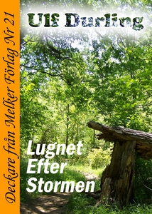 Lugnet efter stormen (e-bok) av Ulf Durling