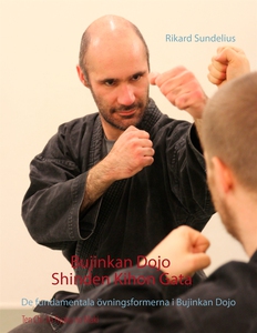 Bujinkan Dojo Shinden Kihon Gata: De fundamenta