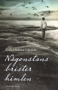 Någonstans brister himlen (e-bok) av Erika Olof