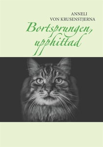 Bortsprungen, upphittad (e-bok) av Anneli von K