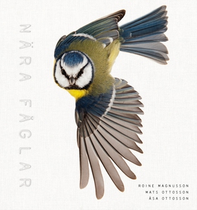 Nära fåglar (e-bok) av Åsa Ottosson, Mats och Å