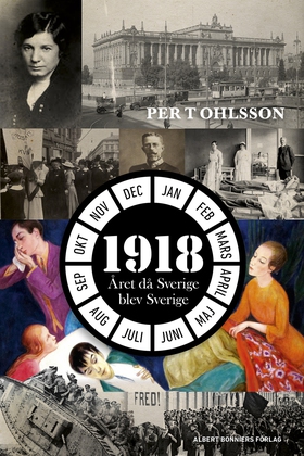 1918 : året då Sverige blev Sverige (e-bok) av
