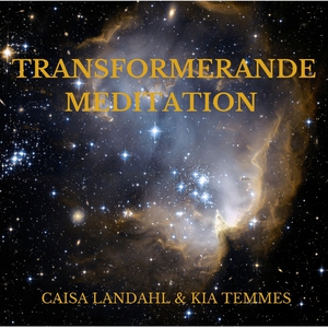 Transformerande meditation (ljudbok) av Kia Tem