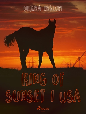 King of Sunset i USA (e-bok) av Ulrika Ekblom
