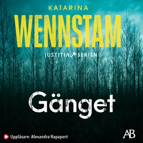 Gänget (ljudbok) av Katarina Wennstam