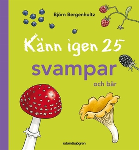 Känn igen 25 svampar och bär (e-bok) av Björn B