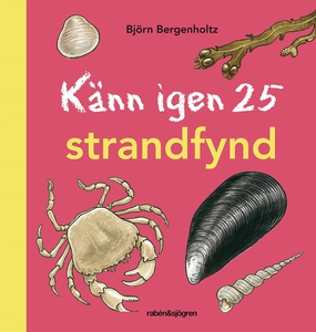 Känn igen 25 strandfynd (e-bok) av Björn Bergen
