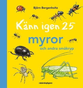 Känn igen 25 myror och andra småkryp (e-bok) av