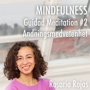 Mindfulness - Guidad Meditation #2 Andningsmedv