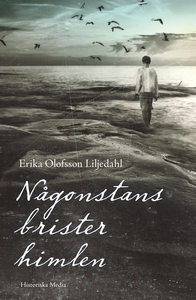 Någonstans brister himlen (ljudbok) av Erika Ol