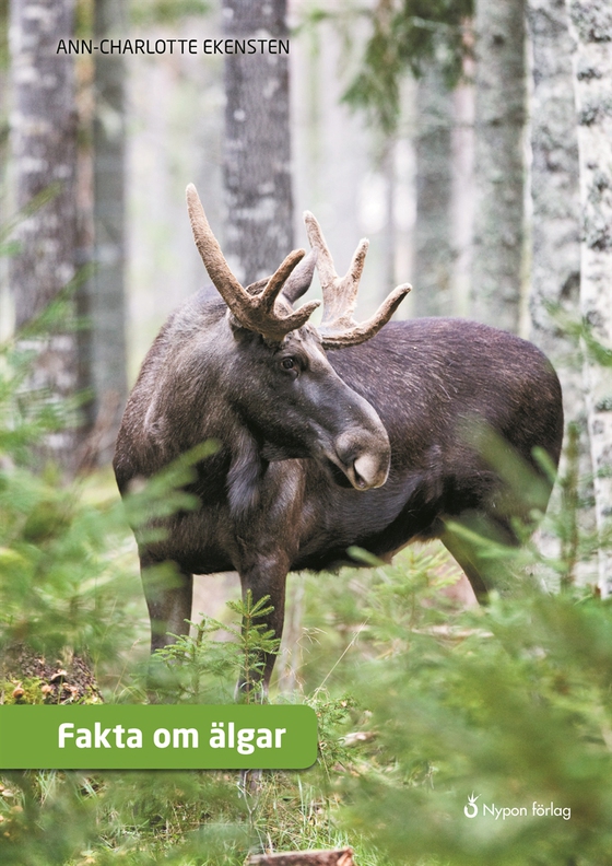 Fakta om älgar