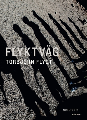Flyktväg (e-bok) av Torbjörn Flygt