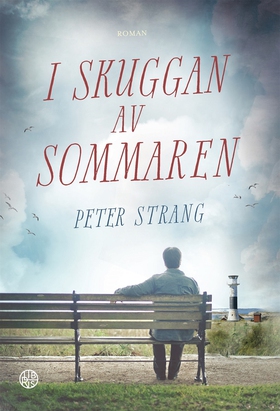 I skuggan av sommaren (ljudbok) av Peter Strang