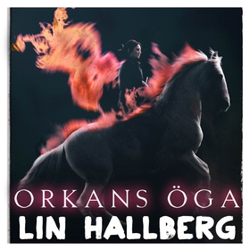 Orkans öga (ljudbok) av Lin Hallberg